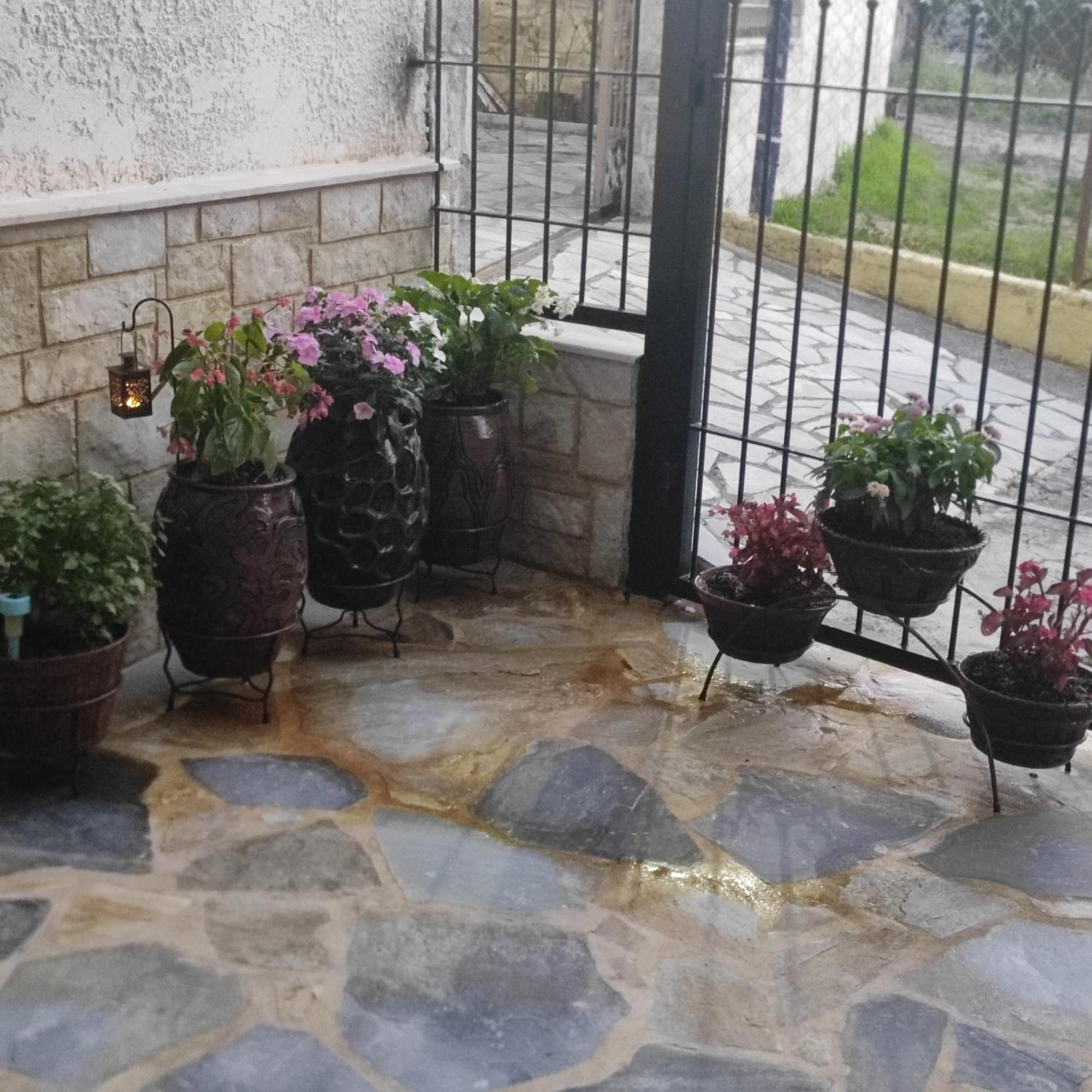 Eleni-Areti Apartment Pefkochori Exterior foto